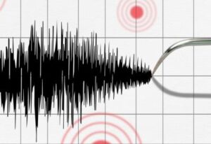 [Aggregator] Downloaded image for imported item #71531