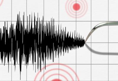 [Aggregator] Downloaded image for imported item #71531