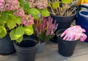 [Aggregator] Downloaded image for imported item #54756