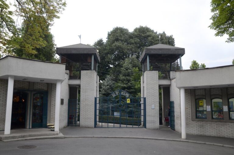 [Aggregator] Downloaded image for imported item #105757