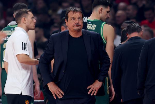 [Aggregator] Downloaded image for imported item #71184