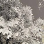 [Aggregator] Downloaded image for imported item #125476