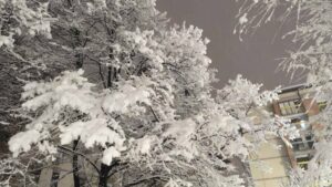 [Aggregator] Downloaded image for imported item #125476