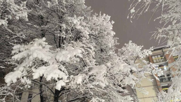 [Aggregator] Downloaded image for imported item #125476