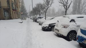 [Aggregator] Downloaded image for imported item #124102