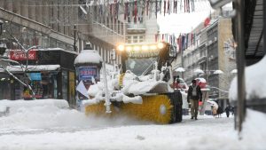 [Aggregator] Downloaded image for imported item #126658