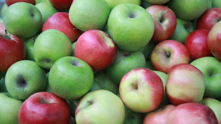 [Aggregator] Downloaded image for imported item #131888