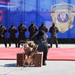 [Aggregator] Downloaded image for imported item #128294