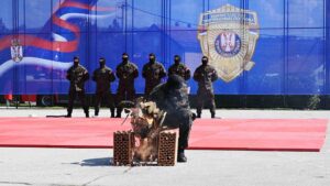 [Aggregator] Downloaded image for imported item #128294