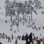 [Aggregator] Downloaded image for imported item #125826