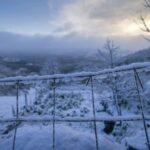 [Aggregator] Downloaded image for imported item #125429