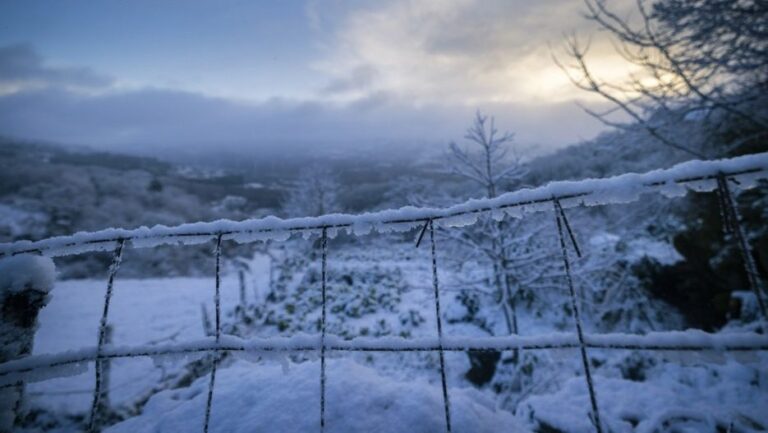 [Aggregator] Downloaded image for imported item #125429