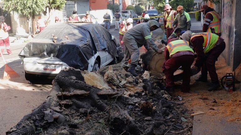 [Aggregator] Downloaded image for imported item #123645