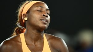 [Aggregator] Downloaded image for imported item #131074