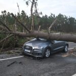 [Aggregator] Downloaded image for imported item #131609