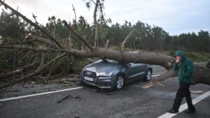 [Aggregator] Downloaded image for imported item #131609