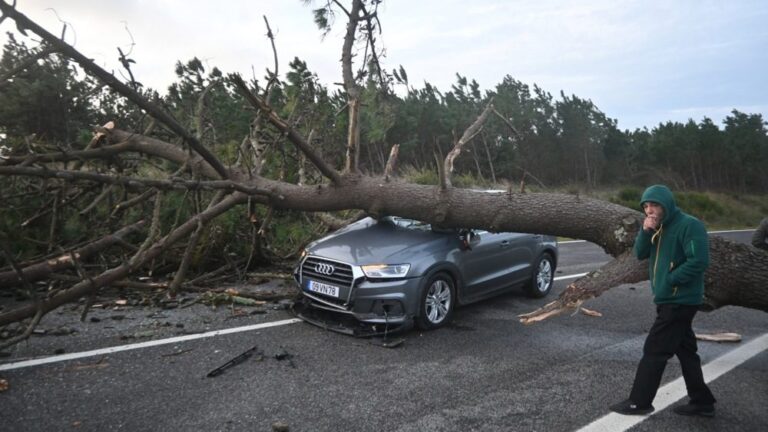 [Aggregator] Downloaded image for imported item #131609