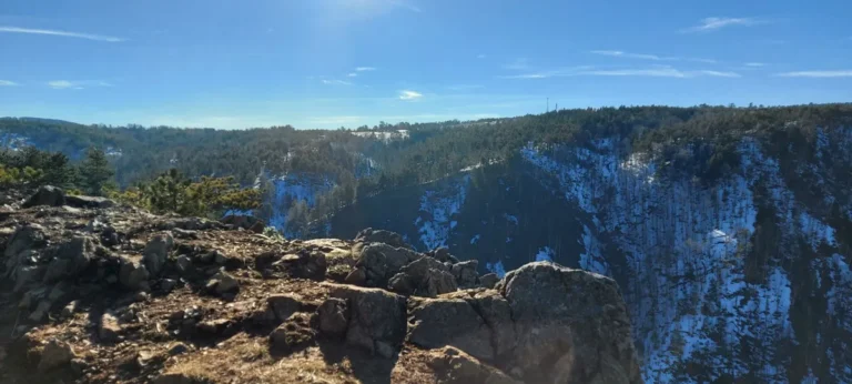 [Aggregator] Downloaded image for imported item #123801