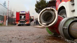 [Aggregator] Downloaded image for imported item #130242