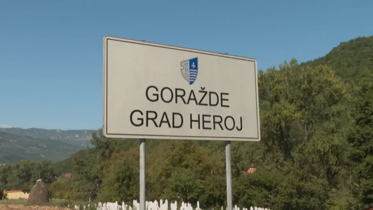 [Aggregator] Downloaded image for imported item #124206