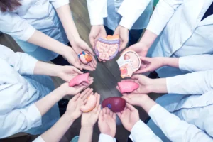 [Aggregator] Downloaded image for imported item #126283