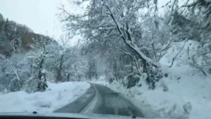 [Aggregator] Downloaded image for imported item #125526