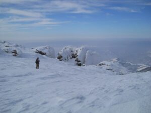 [Aggregator] Downloaded image for imported item #123460