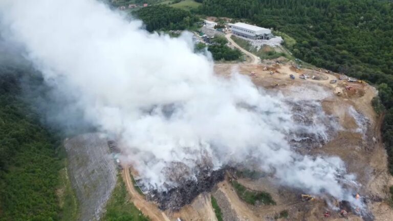 [Aggregator] Downloaded image for imported item #131021