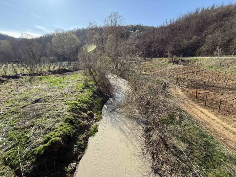 [Aggregator] Downloaded image for imported item #129397