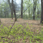 [Aggregator] Downloaded image for imported item #123798