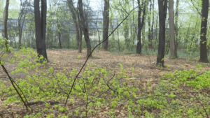 [Aggregator] Downloaded image for imported item #123798