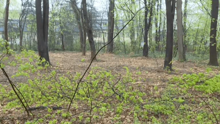 [Aggregator] Downloaded image for imported item #123798