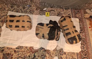 [Aggregator] Downloaded image for imported item #123491