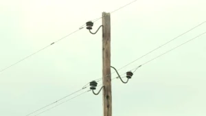 [Aggregator] Downloaded image for imported item #124385