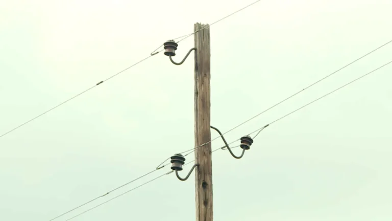 [Aggregator] Downloaded image for imported item #124385