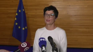 [Aggregator] Downloaded image for imported item #131762