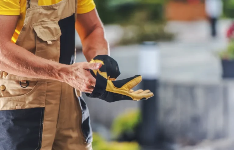 [Aggregator] Downloaded image for imported item #132514