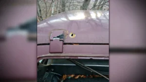 [Aggregator] Downloaded image for imported item #126872