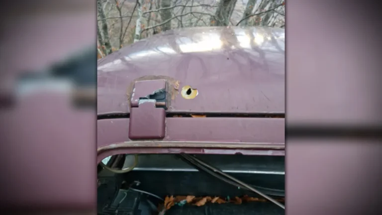 [Aggregator] Downloaded image for imported item #126872