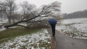 [Aggregator] Downloaded image for imported item #126859