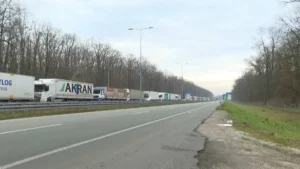 [Aggregator] Downloaded image for imported item #131773