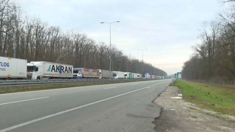 [Aggregator] Downloaded image for imported item #131773