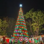 [Aggregator] Downloaded image for imported item #125023