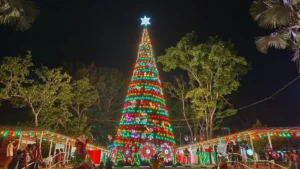 [Aggregator] Downloaded image for imported item #125023