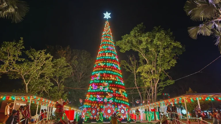 [Aggregator] Downloaded image for imported item #125023