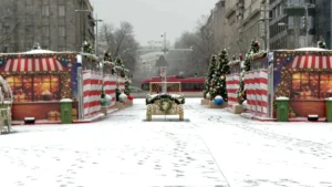 [Aggregator] Downloaded image for imported item #123791