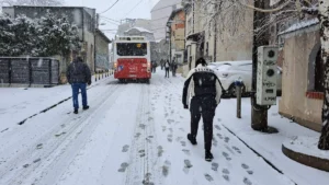 [Aggregator] Downloaded image for imported item #124044