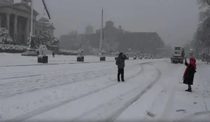 [Aggregator] Downloaded image for imported item #124152