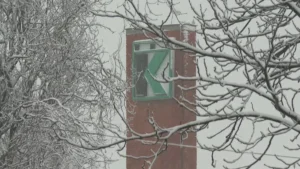 [Aggregator] Downloaded image for imported item #124227