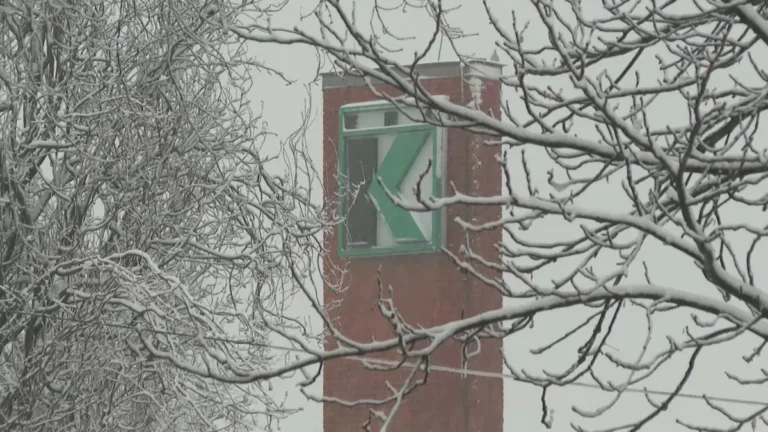 [Aggregator] Downloaded image for imported item #124227